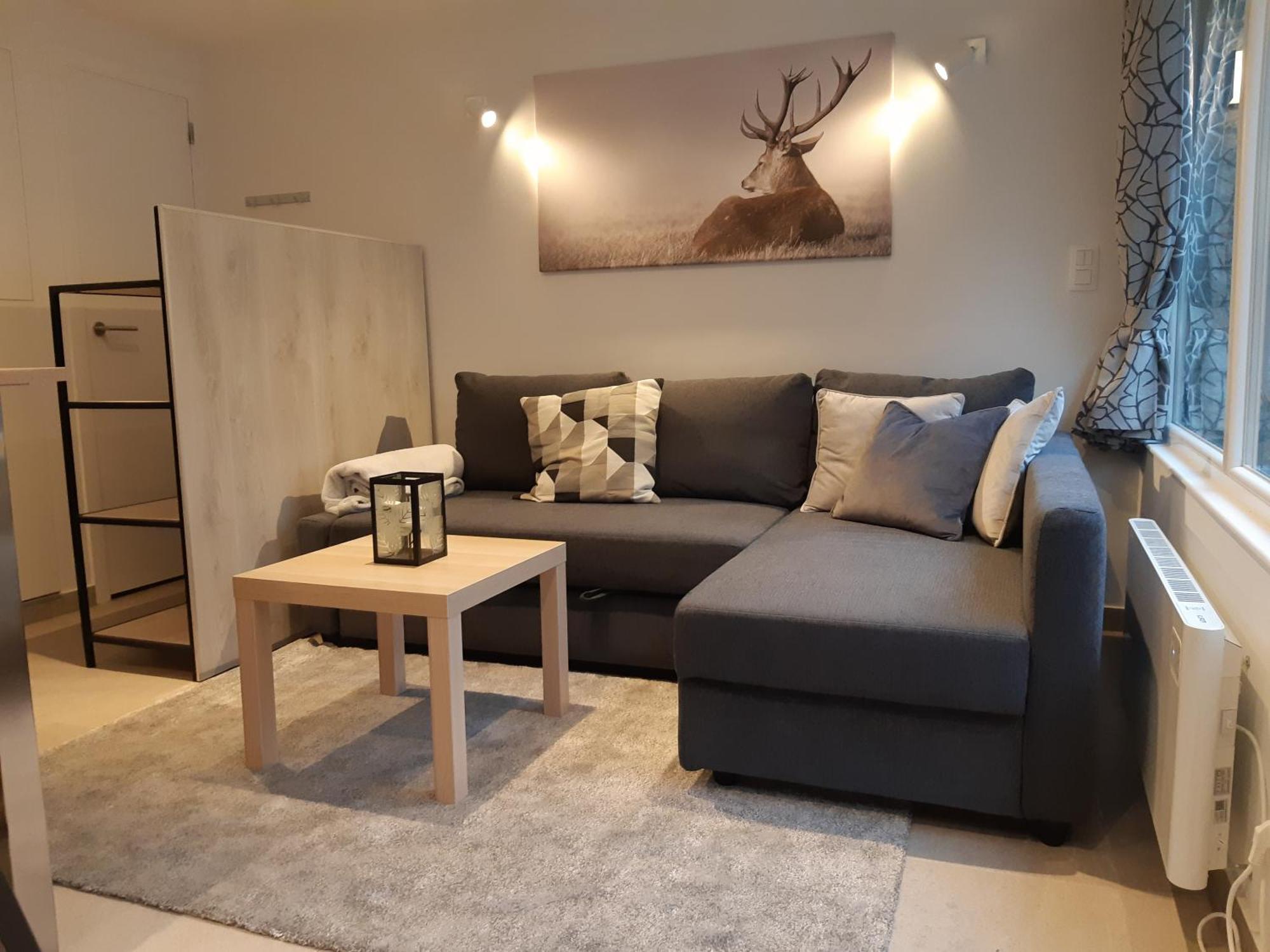 Terrasses De Malmedy F&L Triplex 214 Et Studio 320 Et 317 Et Studio Superieur 340 Ruang foto